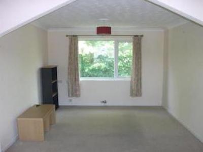 Annonce Location Appartement Norwich