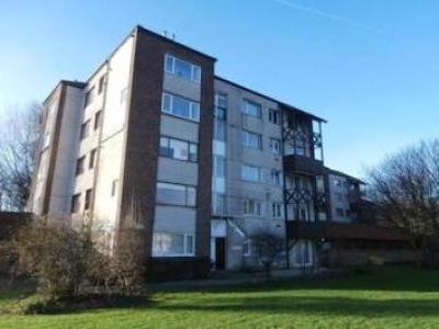 Annonce Location Appartement North-shields