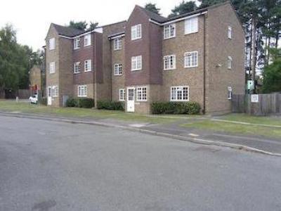 Annonce Location Appartement Bracknell