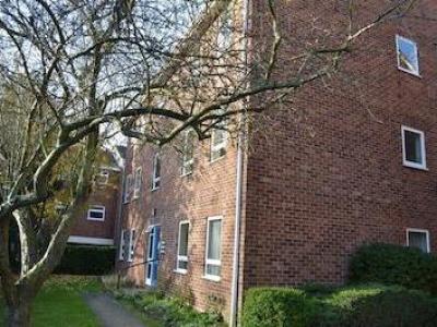 Annonce Location Appartement Norwich