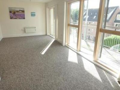 Annonce Location Appartement Norwich