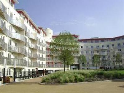 Annonce Location Appartement Bristol