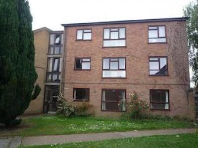 Annonce Location Appartement Norwich