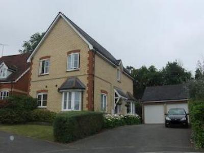 Annonce Location Maison Ipswich