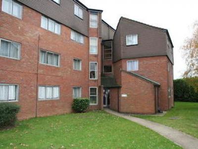 Annonce Location Appartement Hounslow