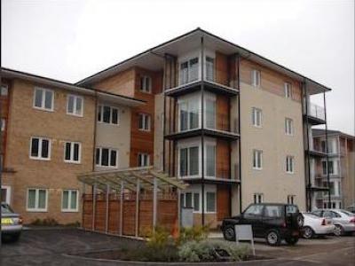 Annonce Location Appartement Hounslow