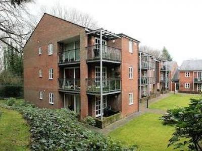 Annonce Location Appartement Southampton