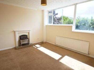 Annonce Location Appartement Sheffield