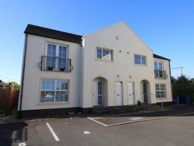 Annonce Location Appartement Newtownards