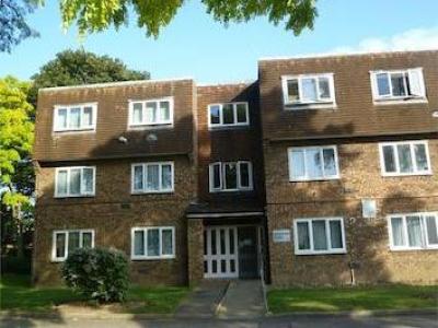 Annonce Location Appartement Hounslow