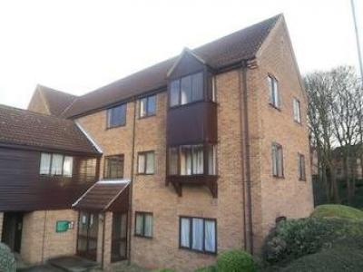 Annonce Location Appartement Norwich