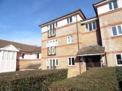 Annonce Location Appartement Witham