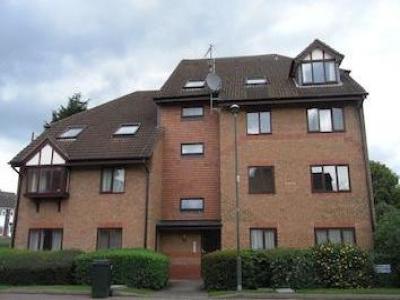 Annonce Location Appartement Coventry