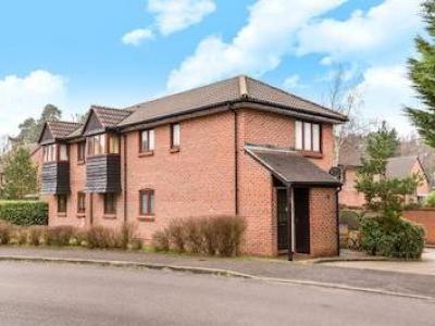 Annonce Location Appartement Crowthorne
