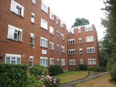 Annonce Location Appartement Hounslow