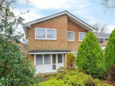 Annonce Location Maison Bracknell