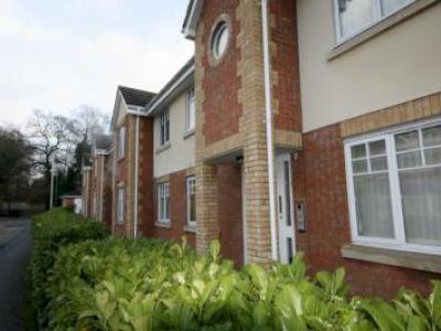 Annonce Location Appartement Woking