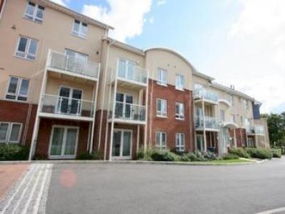 Annonce Location Appartement Watford