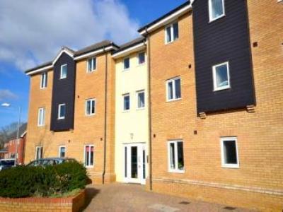 Annonce Location Appartement Norwich