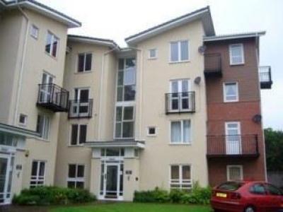 Annonce Location Appartement Coventry