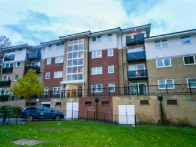 Annonce Location Appartement Southampton