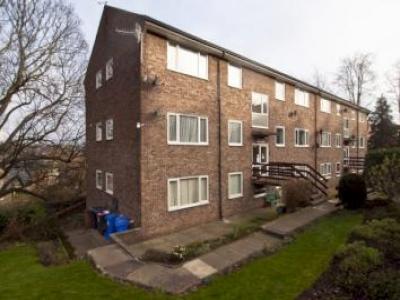 Annonce Location Appartement Sheffield