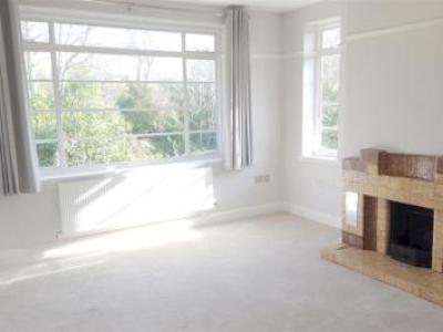 Annonce Location Appartement Brighton