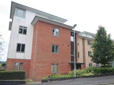 Annonce Location Appartement Norwich