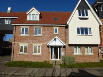 Annonce Location Appartement Norwich