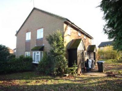 Annonce Location Maison Woking