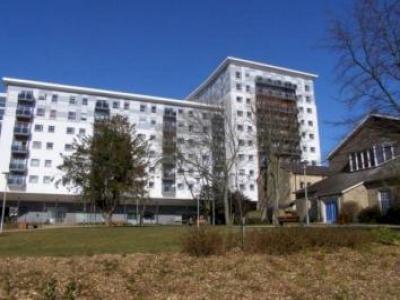 Annonce Location Appartement Brentwood