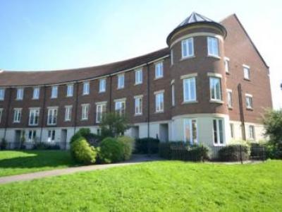 Annonce Location Appartement Exeter