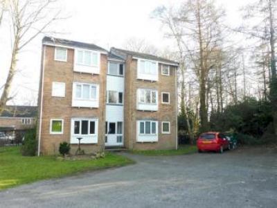 Annonce Location Appartement Waterlooville