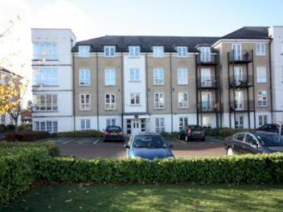 Annonce Location Appartement Woking