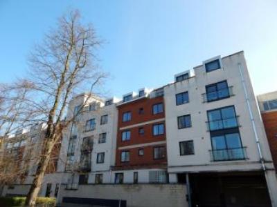 Annonce Location Appartement Norwich