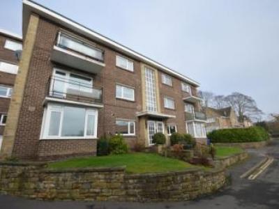 Annonce Location Appartement Sheffield