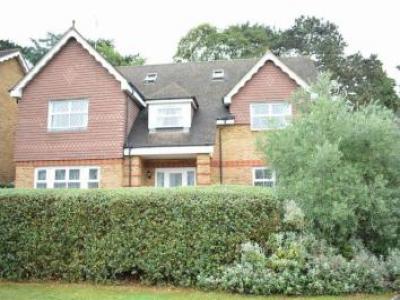 Annonce Location Maison Leatherhead