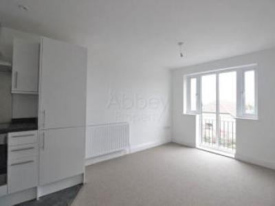 Louer Appartement Luton