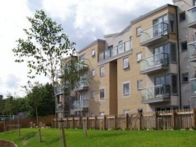 Annonce Location Appartement Hemel-hempstead