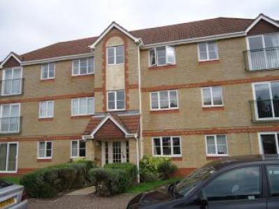 Annonce Location Appartement Crawley