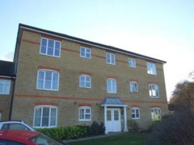 Annonce Location Appartement Stevenage