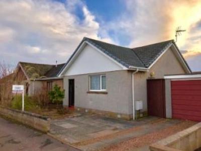 Annonce Location Maison Arbroath