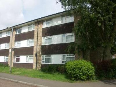 Annonce Location Appartement Hemel-hempstead