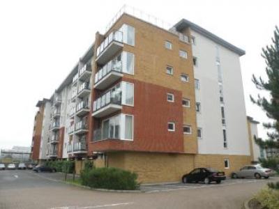 Annonce Location Appartement Hatfield