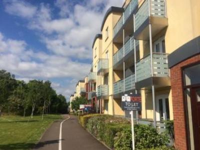 Annonce Location Appartement Exeter