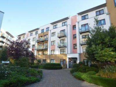 Annonce Location Appartement Bristol