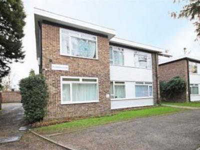 Annonce Location Appartement Twickenham