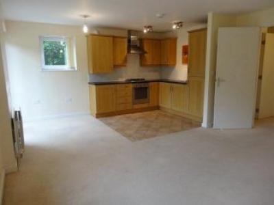 Annonce Location Appartement Sheffield