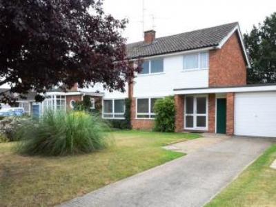 Annonce Location Maison Wokingham