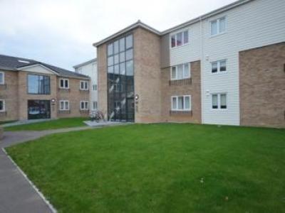 Annonce Location Appartement Gillingham